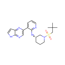 CC(C)(C)CS(=O)(=O)N1CCC[C@H](Nc2ncccc2-c2cnc3[nH]ccc3n2)C1 ZINC000169067101