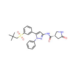 CC(C)(C)CS(=O)(=O)c1cccc(-c2cc(NC(=O)[C@@H]3CNC(=O)C3)nn2-c2ccccc2)c1 ZINC000169707437