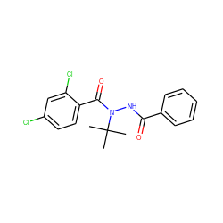 CC(C)(C)N(NC(=O)c1ccccc1)C(=O)c1ccc(Cl)cc1Cl ZINC000005352459