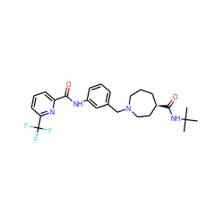 CC(C)(C)NC(=O)[C@@H]1CCCN(Cc2cccc(NC(=O)c3cccc(C(F)(F)F)n3)c2)CC1 ZINC001772657002