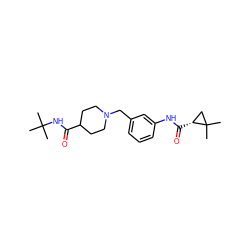 CC(C)(C)NC(=O)C1CCN(Cc2cccc(NC(=O)[C@@H]3CC3(C)C)c2)CC1 ZINC001772613900