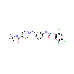 CC(C)(C)NC(=O)C1CCN(Cc2cccc(NC(=O)Cc3cc(F)c(Cl)cc3Cl)c2)CC1 ZINC001772573117