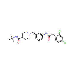 CC(C)(C)NC(=O)C1CCN(Cc2cccc(NC(=O)Cc3ccc(Cl)cc3Cl)c2)CC1 ZINC001772629414