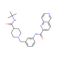 CC(C)(C)NC(=O)C1CCN(Cc2cccc(NC(=O)c3ccc4cnccc4n3)c2)CC1 ZINC000210630440