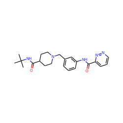 CC(C)(C)NC(=O)C1CCN(Cc2cccc(NC(=O)c3cccnn3)c2)CC1 ZINC000210677803