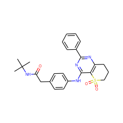 CC(C)(C)NC(=O)Cc1ccc(Nc2nc(-c3ccccc3)nc3c2S(=O)(=O)CCC3)cc1 ZINC000095920982