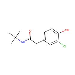 CC(C)(C)NC(=O)Cc1ccc(O)c(Cl)c1 ZINC000045302655