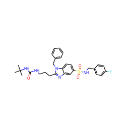 CC(C)(C)NC(=O)NCCCc1nc2cc(S(=O)(=O)NCc3ccc(F)cc3)ccc2n1Cc1ccccc1 ZINC000028339308