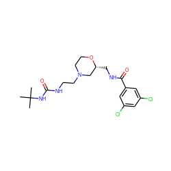 CC(C)(C)NC(=O)NCCN1CCO[C@H](CNC(=O)c2cc(Cl)cc(Cl)c2)C1 ZINC000095590038