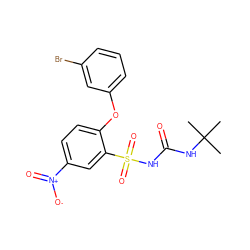 CC(C)(C)NC(=O)NS(=O)(=O)c1cc([N+](=O)[O-])ccc1Oc1cccc(Br)c1 ZINC000028710464