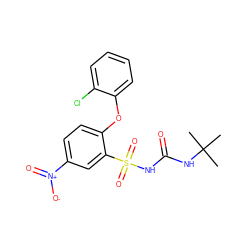 CC(C)(C)NC(=O)NS(=O)(=O)c1cc([N+](=O)[O-])ccc1Oc1ccccc1Cl ZINC000028710472