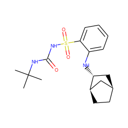 CC(C)(C)NC(=O)NS(=O)(=O)c1ccccc1N[C@@H]1C[C@H]2CC[C@@H]1C2 ZINC000071317392