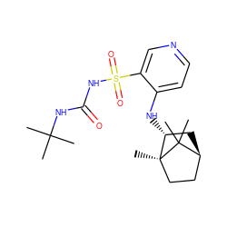 CC(C)(C)NC(=O)NS(=O)(=O)c1cnccc1N[C@@H]1C[C@H]2CC[C@]1(C)C2(C)C ZINC000071296814