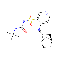 CC(C)(C)NC(=O)NS(=O)(=O)c1cnccc1N[C@@H]1C[C@H]2CC[C@H]1C2 ZINC000201642987