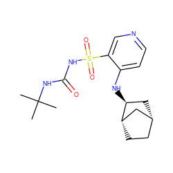 CC(C)(C)NC(=O)NS(=O)(=O)c1cnccc1N[C@H]1C[C@@H]2CC[C@H]1C2 ZINC000071317699