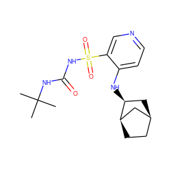 CC(C)(C)NC(=O)NS(=O)(=O)c1cnccc1N[C@H]1C[C@H]2CC[C@@H]1C2 ZINC000071296527