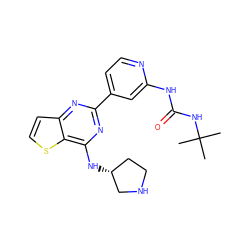 CC(C)(C)NC(=O)Nc1cc(-c2nc(N[C@@H]3CCNC3)c3sccc3n2)ccn1 ZINC000223677944