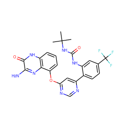 CC(C)(C)NC(=O)Nc1cc(C(F)(F)F)ccc1-c1cc(Oc2cccc3[nH]c(=O)c(N)nc23)ncn1 ZINC000040877162