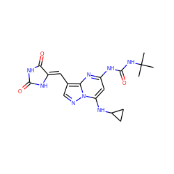 CC(C)(C)NC(=O)Nc1cc(NC2CC2)n2ncc(/C=C3\NC(=O)NC3=O)c2n1 ZINC000205036686