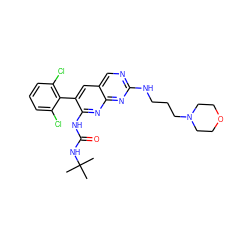 CC(C)(C)NC(=O)Nc1nc2nc(NCCCN3CCOCC3)ncc2cc1-c1c(Cl)cccc1Cl ZINC000014944243