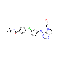 CC(C)(C)NC(=O)c1cccc(Oc2ccc(Nc3ncnc4ccn(CCO)c34)cc2Cl)c1 ZINC000084652523