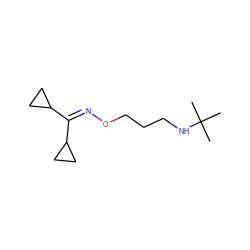 CC(C)(C)NCCCON=C(C1CC1)C1CC1 ZINC000028010861