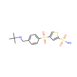 CC(C)(C)NCc1ccc(S(=O)(=O)c2csc(S(N)(=O)=O)c2)cc1 ZINC000013727917