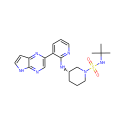 CC(C)(C)NS(=O)(=O)N1CCC[C@H](Nc2ncccc2-c2cnc3[nH]ccc3n2)C1 ZINC000168818439