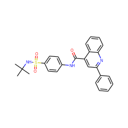 CC(C)(C)NS(=O)(=O)c1ccc(NC(=O)c2cc(-c3ccccc3)nc3ccccc23)cc1 ZINC000001125992