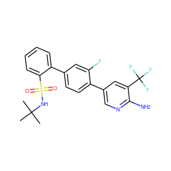CC(C)(C)NS(=O)(=O)c1ccccc1-c1ccc(-c2cnc(N)c(C(F)(F)F)c2)c(F)c1 ZINC000224729344
