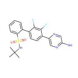 CC(C)(C)NS(=O)(=O)c1ccccc1-c1ccc(-c2cnc(N)cn2)c(F)c1F ZINC000224743660