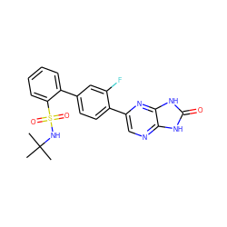 CC(C)(C)NS(=O)(=O)c1ccccc1-c1ccc(-c2cnc3[nH]c(=O)[nH]c3n2)c(F)c1 ZINC000224818114