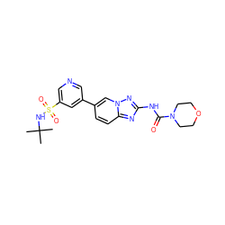 CC(C)(C)NS(=O)(=O)c1cncc(-c2ccc3nc(NC(=O)N4CCOCC4)nn3c2)c1 ZINC000084687804