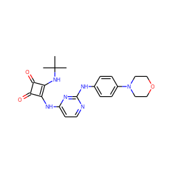 CC(C)(C)Nc1c(Nc2ccnc(Nc3ccc(N4CCOCC4)cc3)n2)c(=O)c1=O ZINC000101595771