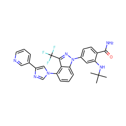 CC(C)(C)Nc1cc(-n2nc(C(F)(F)F)c3c(-n4cnc(-c5cccnc5)c4)cccc32)ccc1C(N)=O ZINC000222997853