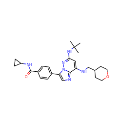 CC(C)(C)Nc1cc(NCC2CCOCC2)c2ncc(-c3ccc(C(=O)NC4CC4)cc3)n2n1 ZINC000113138633