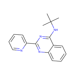 CC(C)(C)Nc1nc(-c2ccccn2)nc2ccccc12 ZINC000005577117