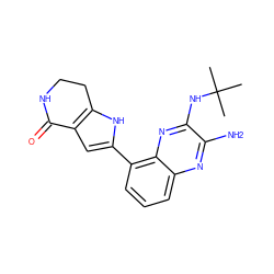 CC(C)(C)Nc1nc2c(-c3cc4c([nH]3)CCNC4=O)cccc2nc1N ZINC000206117431