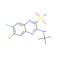 CC(C)(C)Nc1nc2cc(Cl)c(Cl)cc2nc1S(C)(=O)=O ZINC000028951019