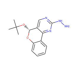 CC(C)(C)O[C@H]1Oc2ccccc2-c2nc(NN)ncc21 ZINC000073240377