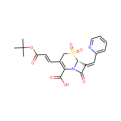 CC(C)(C)OC(=O)/C=C/C1=C(C(=O)O)N2C(=O)/C(=C/c3ccccn3)[C@H]2S(=O)(=O)C1 ZINC000027984247