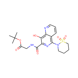 CC(C)(C)OC(=O)CNC(=O)c1nc(N2CCCCS2(=O)=O)c2cccnc2c1O ZINC000073141661