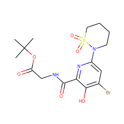 CC(C)(C)OC(=O)CNC(=O)c1nc(N2CCCCS2(=O)=O)cc(Br)c1O ZINC000038335842