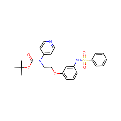 CC(C)(C)OC(=O)N(CCOc1cccc(NS(=O)(=O)c2ccccc2)c1)c1ccncc1 ZINC000013494035