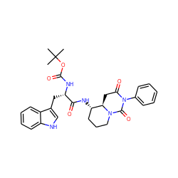 CC(C)(C)OC(=O)N[C@@H](Cc1c[nH]c2ccccc12)C(=O)N[C@H]1CCCN2C(=O)N(c3ccccc3)C(=O)C[C@H]12 ZINC000026376260