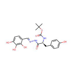 CC(C)(C)OC(=O)N[C@@H](Cc1ccc(O)cc1)C(=O)N/N=C/c1ccc(O)c(O)c1O ZINC001772573217