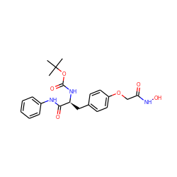 CC(C)(C)OC(=O)N[C@@H](Cc1ccc(OCC(=O)NO)cc1)C(=O)Nc1ccccc1 ZINC000072142775