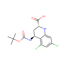 CC(C)(C)OC(=O)N[C@H]1C[C@H](C(=O)O)Nc2cc(Cl)cc(Cl)c21 ZINC000013455228