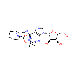 CC(C)(C)OC(=O)N1[C@H]2CC[C@H]1[C@H](Nc1ncnc3c1ncn3[C@@H]1O[C@H](CO)[C@@H](O)[C@H]1O)C2 ZINC000101104441