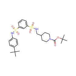 CC(C)(C)OC(=O)N1CCC(CNS(=O)(=O)c2cccc(S(=O)(=O)Nc3ccc(C(C)(C)C)cc3)c2)CC1 ZINC000169703428